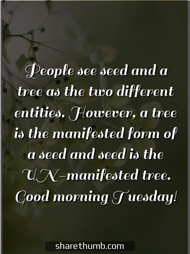 wonderful tuesday morning quotes